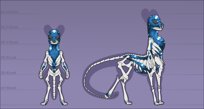 Beastion Astrali Skeletal Reference Beastion Astrali Skeletal Reference
