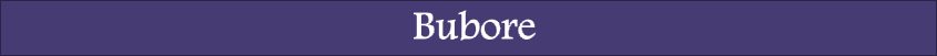 Bubore Kriggy Title Divider