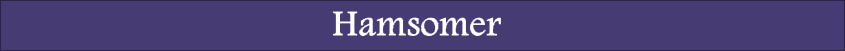 Hamsomer Kriggy Title Divider