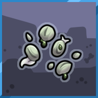 Miniac Seeds (Common)