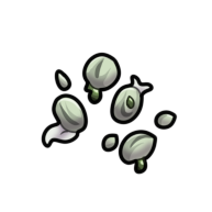 Miniac Seeds