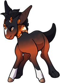 Spartoil Foal