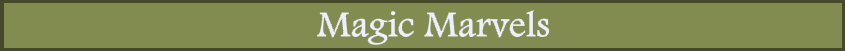 Magic Marvels Divider