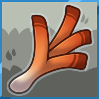 Solar Leek (Common) Solar Leek (Common)