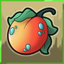 somapri-uncommon.png