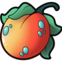 somapri.png