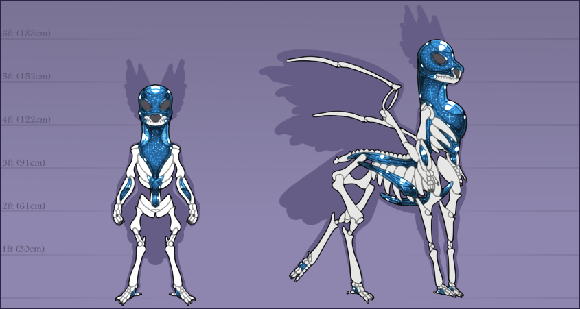 quillian-skeletalreference-2026.png