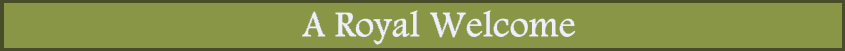 aroyalwelcome-edalliondivider.png