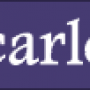 scarletprismhawk-divider.png