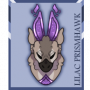lilacprismhawk-natural.png