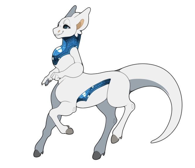 clovun-traveler-2026.png