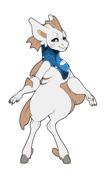 soma-fins-2026.png