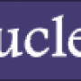 nucleus-divider.png